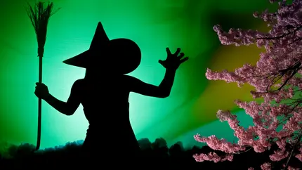 Silhouette of a witch wearing a pointed hat and holding a broom against a glowing green background, with pink blossoms in the foreground.